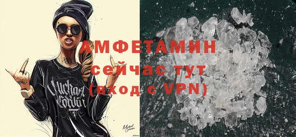 дживик Богородицк