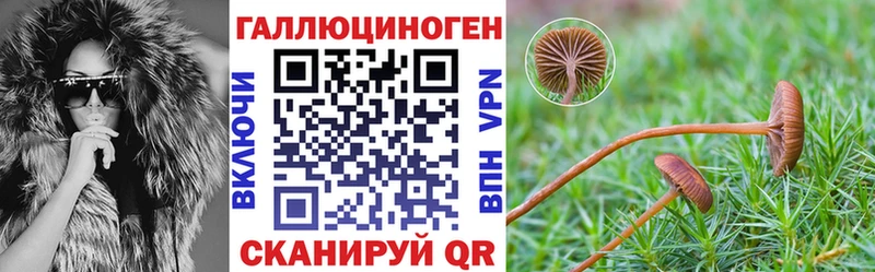 Галлюциногенные грибы Psilocybine cubensis Зима